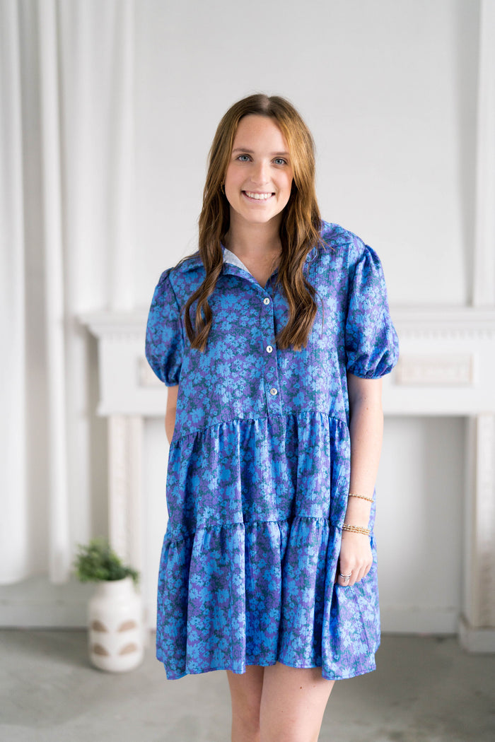 Light blue and purple button down dress with collar