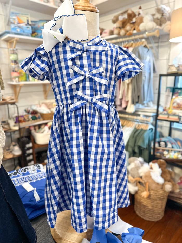 Blue Checkered Dress