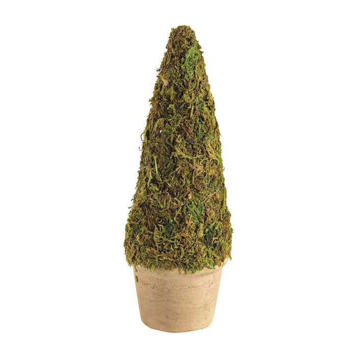 Moss-covered topiary in a pot on a white background mud pie 