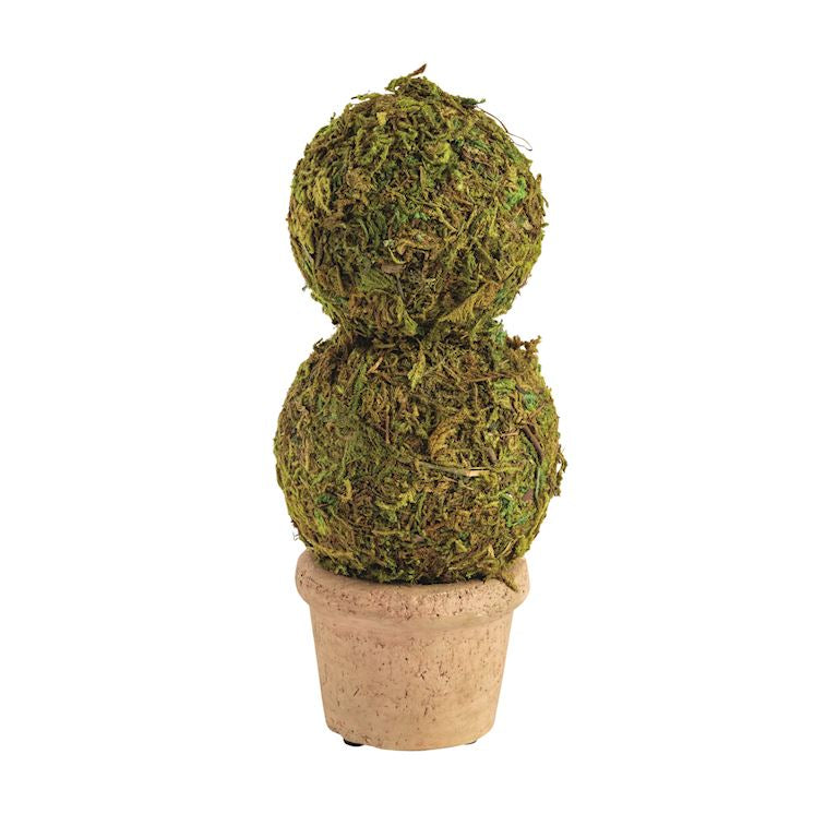Decorative topiary with two spherical moss-covered balls on a white background mud pie 