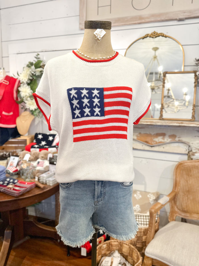 Mannequin wearing a sweater with an American flag design in a store setting.