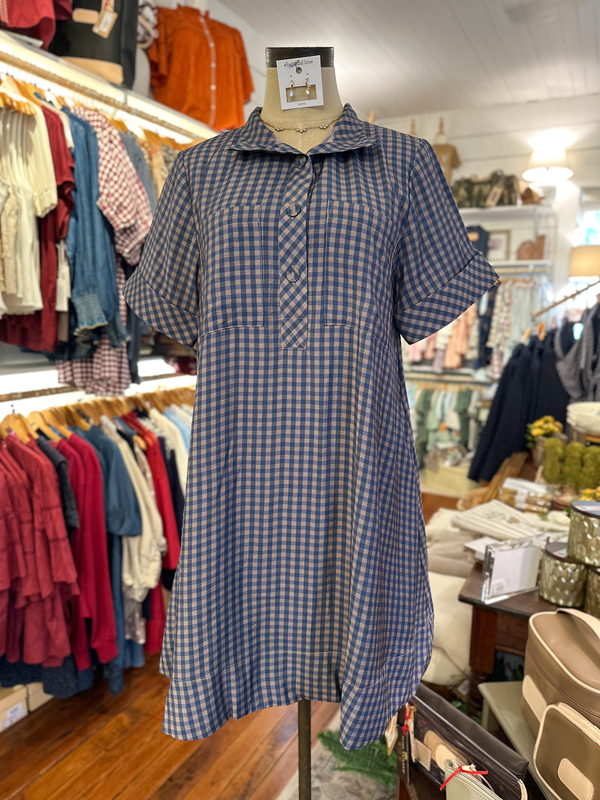 A blue and white gingham short-sleeve collared dress displayed on a mannequin inside a clothing boutique. The dress features a buttoned placket and a relaxed, slightly flared silhouette.