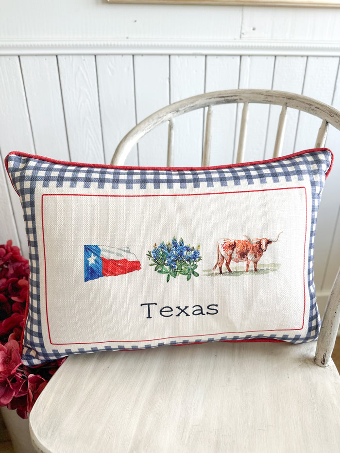 Texas Icon Pillow