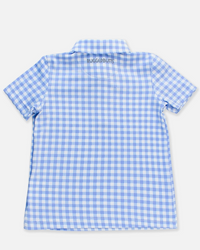 Blue and white checkered shirt on a light gray background ruggedbutts 
