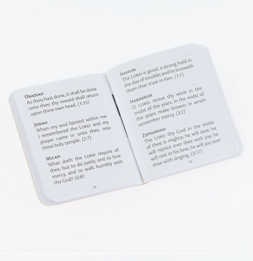 Open book with text on a white background