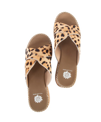 Pair of leopard print sandals on a white background