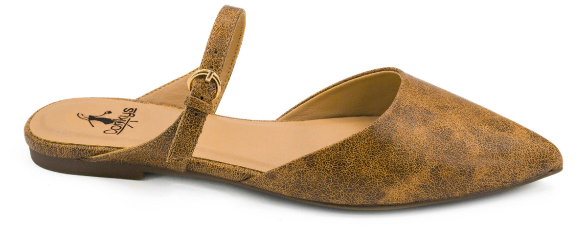 Brown flat shoe with a strap on a white background