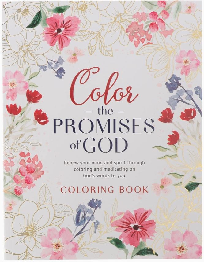 color of god's promises coloring book 
