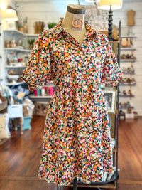 multi color floral dress with collar and pockets washco