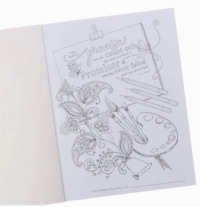 color of god's promises inside page