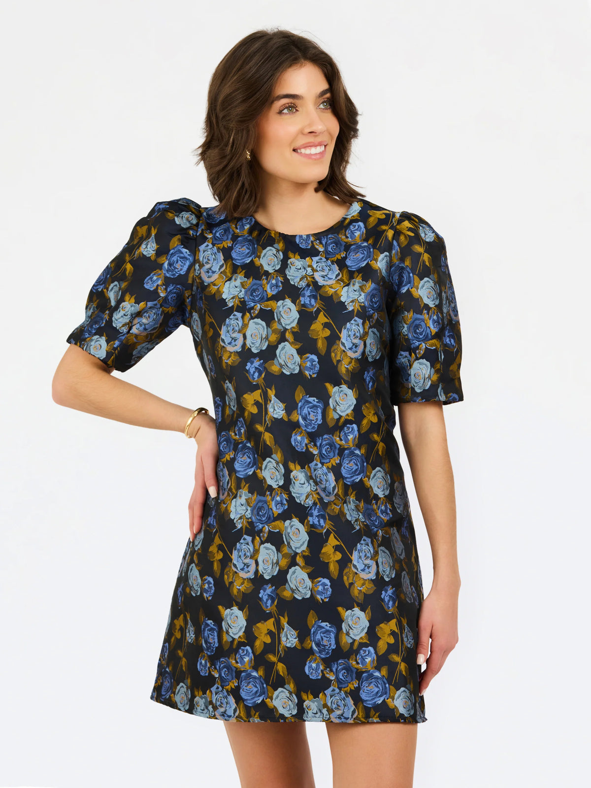 blue floral brocade style puff sleeve dress
with white background 
