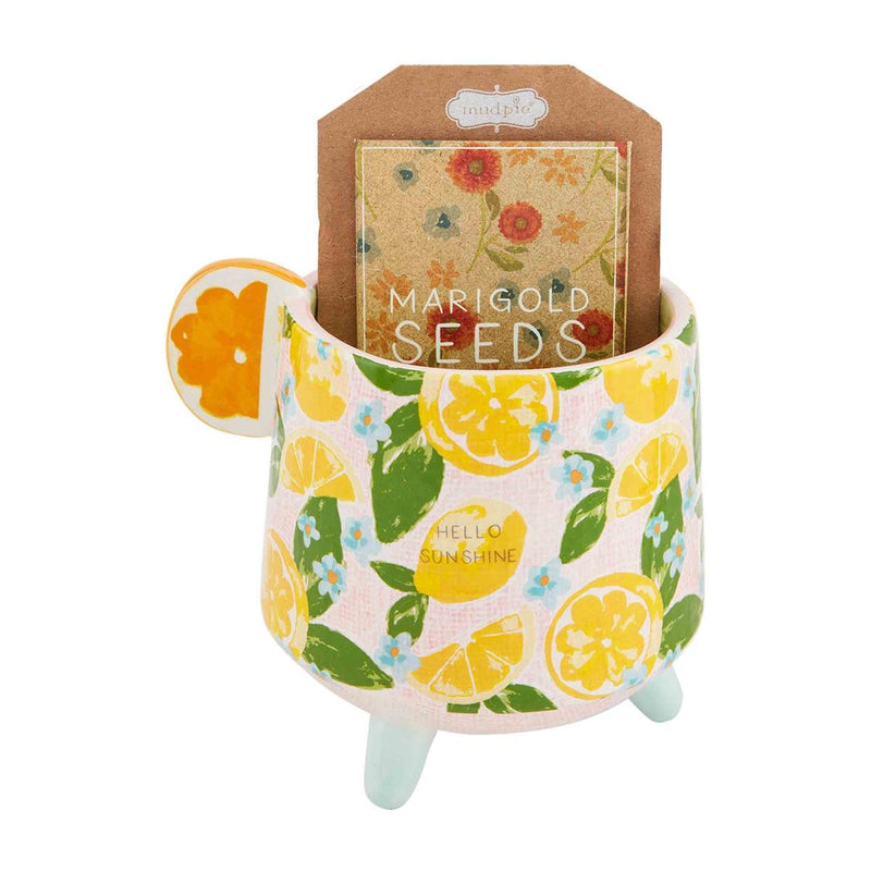 mud pie hello sunshine floral pot