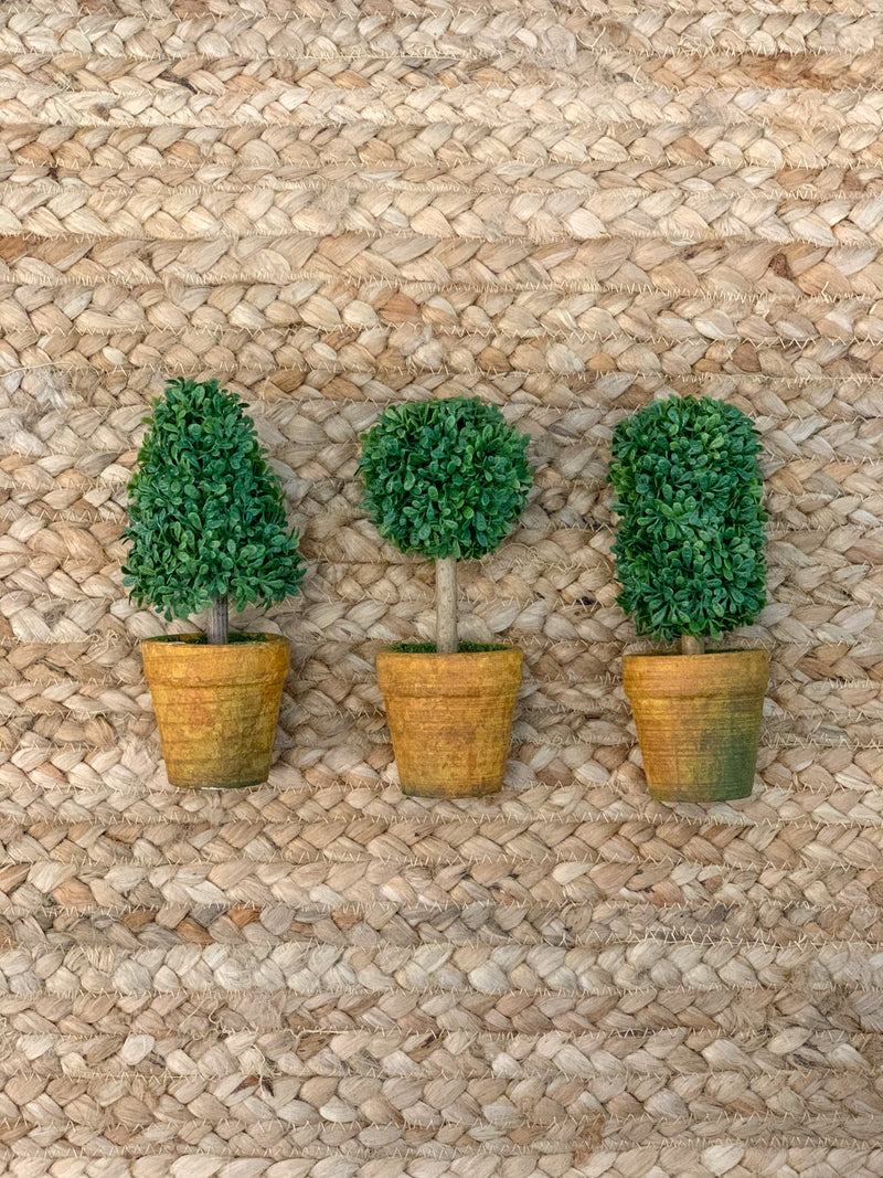 topiary in pot